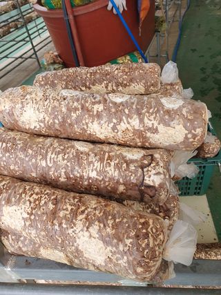 장계령님의 장터이야기 · 자유게시판 작성글 사진