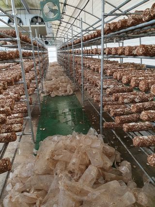 장계령님의 장터이야기 · 자유게시판 작성글 사진