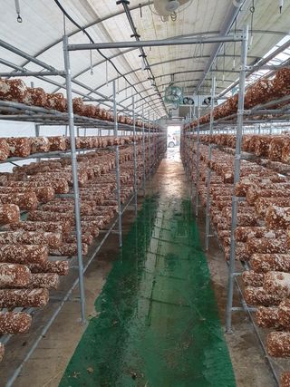 장계령님의 장터이야기 · 자유게시판 작성글 사진