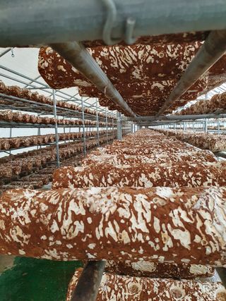 장계령님의 장터이야기 · 자유게시판 작성글 사진