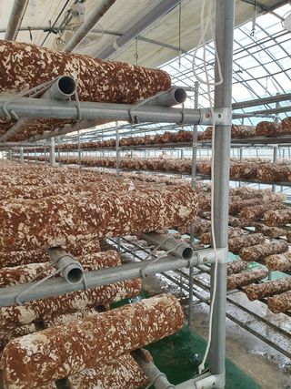 장계령님의 장터이야기 · 자유게시판 작성글 사진