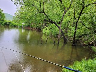 갈마골님의 자유주제 · 자유게시판 작성글 사진