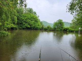 갈마골님의 자유주제 · 자유게시판 작성글 사진