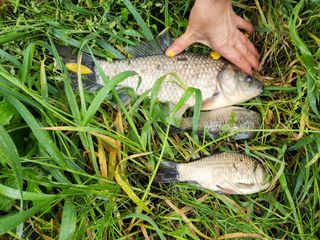 갈마골님의 자유주제 · 자유게시판 작성글 사진