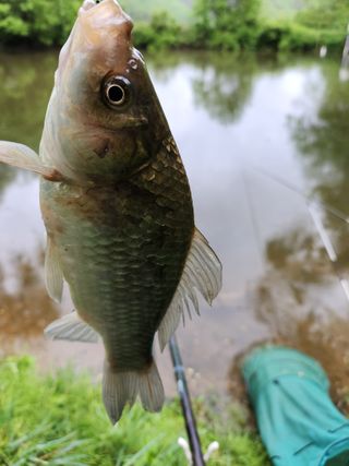 갈마골님의 자유주제 · 자유게시판 작성글 사진