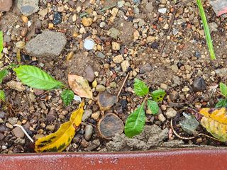 박필진님의 기타작물 · 자유게시판 작성글 사진