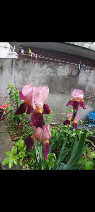 성순옥님의 자유주제 · 자유게시판 작성글 사진