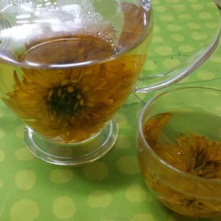 홍천산채농원님의 작성글 사진