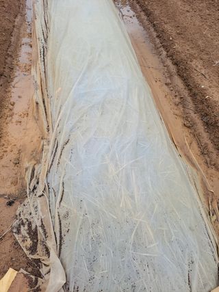 정택님의 기타작물 · 자유게시판 작성글 사진