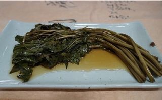 홍천산채농원 조원영님의 작성글 사진