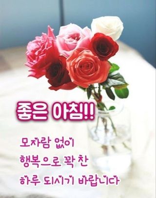 민민농원님의 자유주제 · 자유게시판 작성글 사진