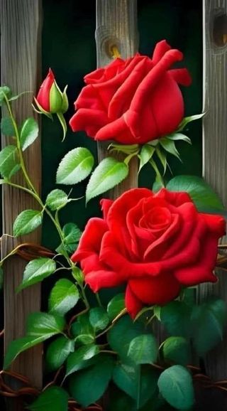 민민농원님의 자유주제 · 자유게시판 작성글 사진