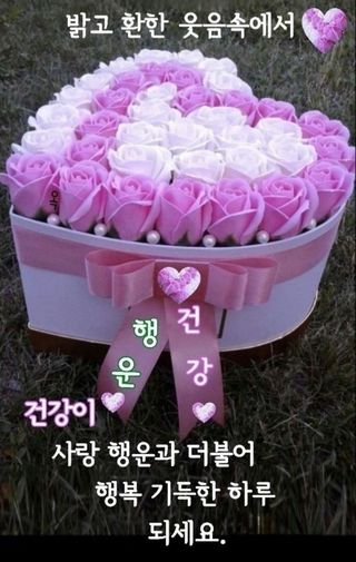 민민농원님의 자유주제 · 자유게시판 작성글 사진