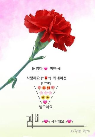 민민농원님의 자유주제 · 자유게시판 작성글 사진