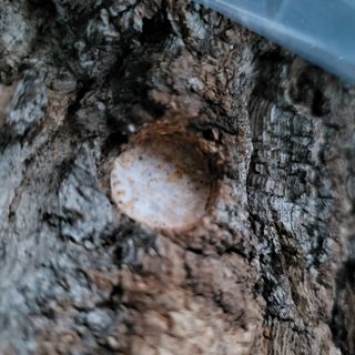 윤종만님의 버섯 · 일상 작성글 사진