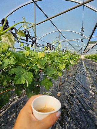 박종숙님의 자유주제 · 자유게시판 작성글 사진