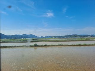 사천시향촌동 돼지띠님의 벼 · 자유게시판 작성글 사진