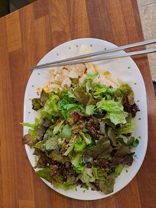 푸른오이님의 상추 · 자유게시판 작성글 사진