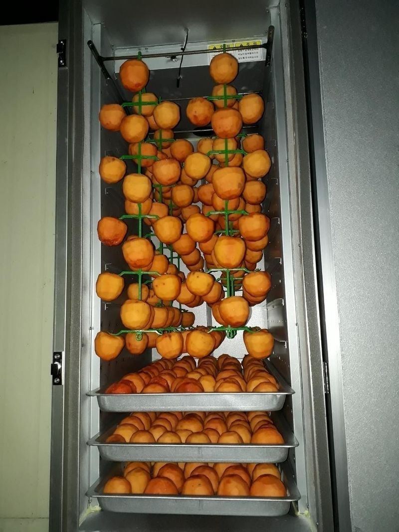 고추건조기님의 장터 판매 상품 [고추건조기판매] 첨부 사진