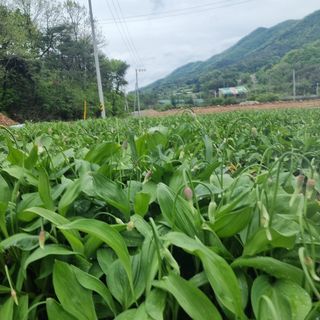 이종권님의 기타작물 · 자유게시판 작성글 사진