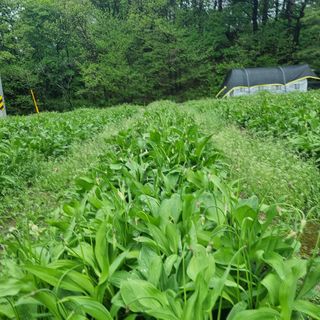 이종권님의 기타작물 · 자유게시판 작성글 사진