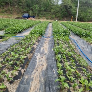 이종권님의 기타작물 · 자유게시판 작성글 사진