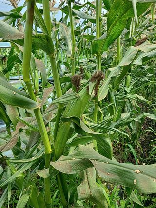 프룻하늬님의 작성글 사진