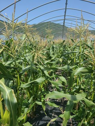 프룻하늬님의 작성글 사진