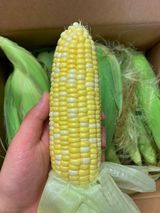 팜모닝 · 게시글 이미지