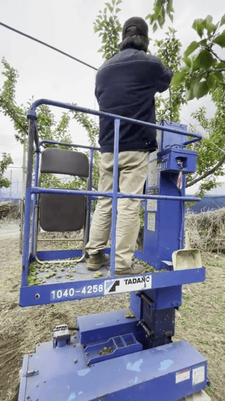 제우스렌탈 정용민님의 장터이야기 · 자유게시판 작성글 사진