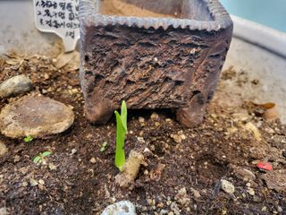 아준님의 자유주제 · 자유게시판 작성글 사진