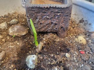 아준님의 자유주제 · 자유게시판 작성글 사진