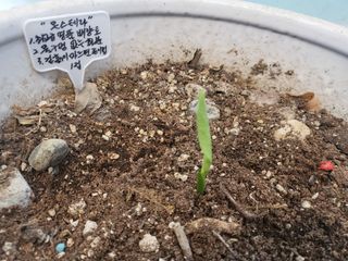 아준님의 자유주제 · 자유게시판 작성글 사진