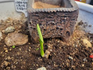 아준님의 자유주제 · 자유게시판 작성글 사진