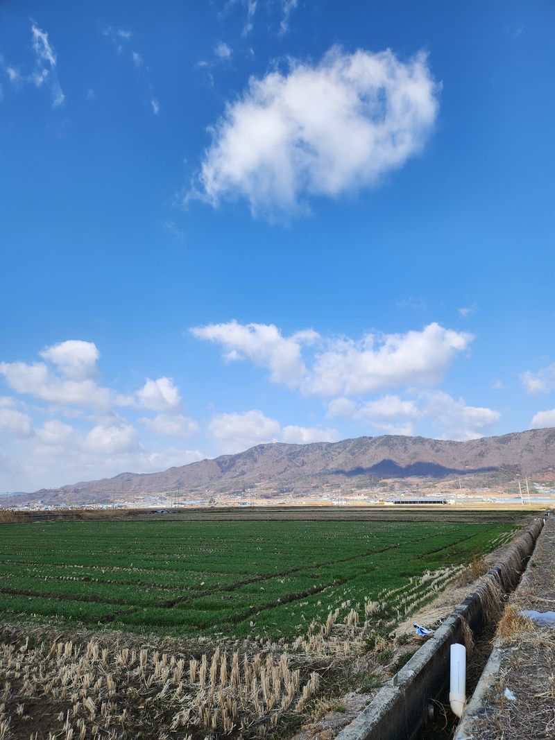 장터 상품 [보성득량만  간척지쌀입니다] 썸네일