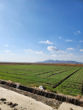 알 수 없음님의 작성글 사진