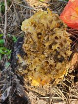 팜모닝 자유주제·자유게시판 게시글 이미지