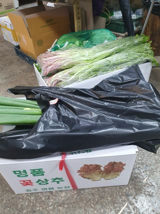 알 수 없음님의 우리동네 · 동네자랑 작성글 사진