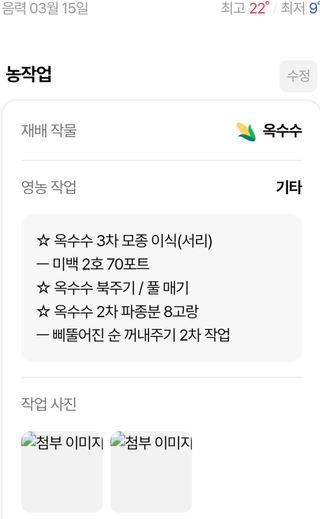 귀농인님의 옥수수 · 자유게시판 작성글 사진