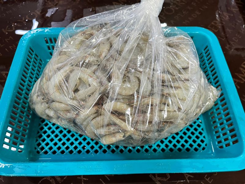 목포 물좋은수산님의 장터 판매 상품 [당일조업 싱싱한 중하새우 1kg] 첨부 사진