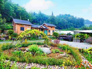 약초를사랑한짱아줌마님의 자유주제 · 자유게시판 작성글 사진