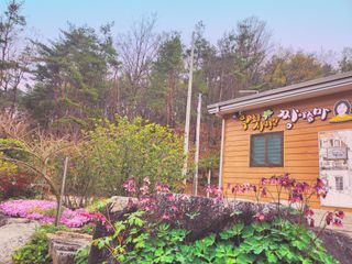 약초를사랑한짱아줌마님의 자유주제 · 자유게시판 작성글 사진