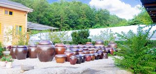 약초를사랑한짱아줌마님의 자유주제 · 자유게시판 작성글 사진