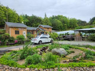 약초를사랑한짱아줌마님의 자유주제 · 자유게시판 작성글 사진