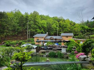 약초를사랑한짱아줌마님의 자유주제 · 자유게시판 작성글 사진