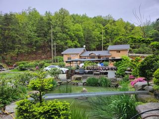 약초를사랑한짱아줌마님의 자유주제 · 자유게시판 작성글 사진