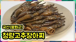 약초를사랑한짱아줌마님의 작성글 사진