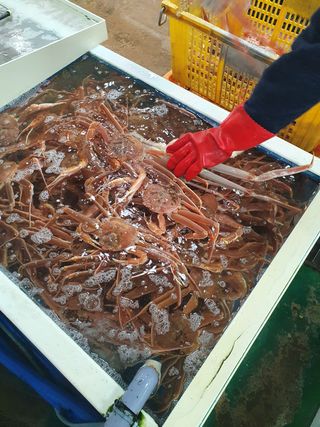 노가네수산님의 우리동네 · 동네정보 작성글 사진