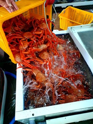 노가네수산님의 우리동네 · 동네정보 작성글 사진