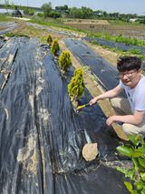 팜모닝 기타작물·자유게시판 게시글 이미지